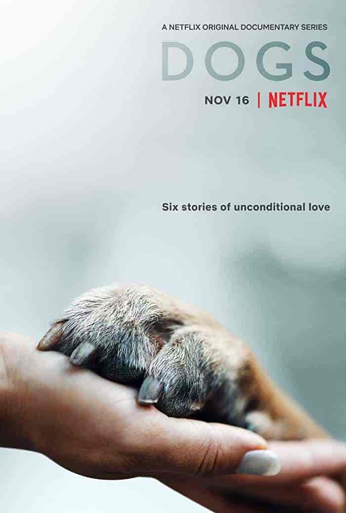 مسلسل Dogs الموسم الاول الحلقة 6 والاخيرة مترجمة